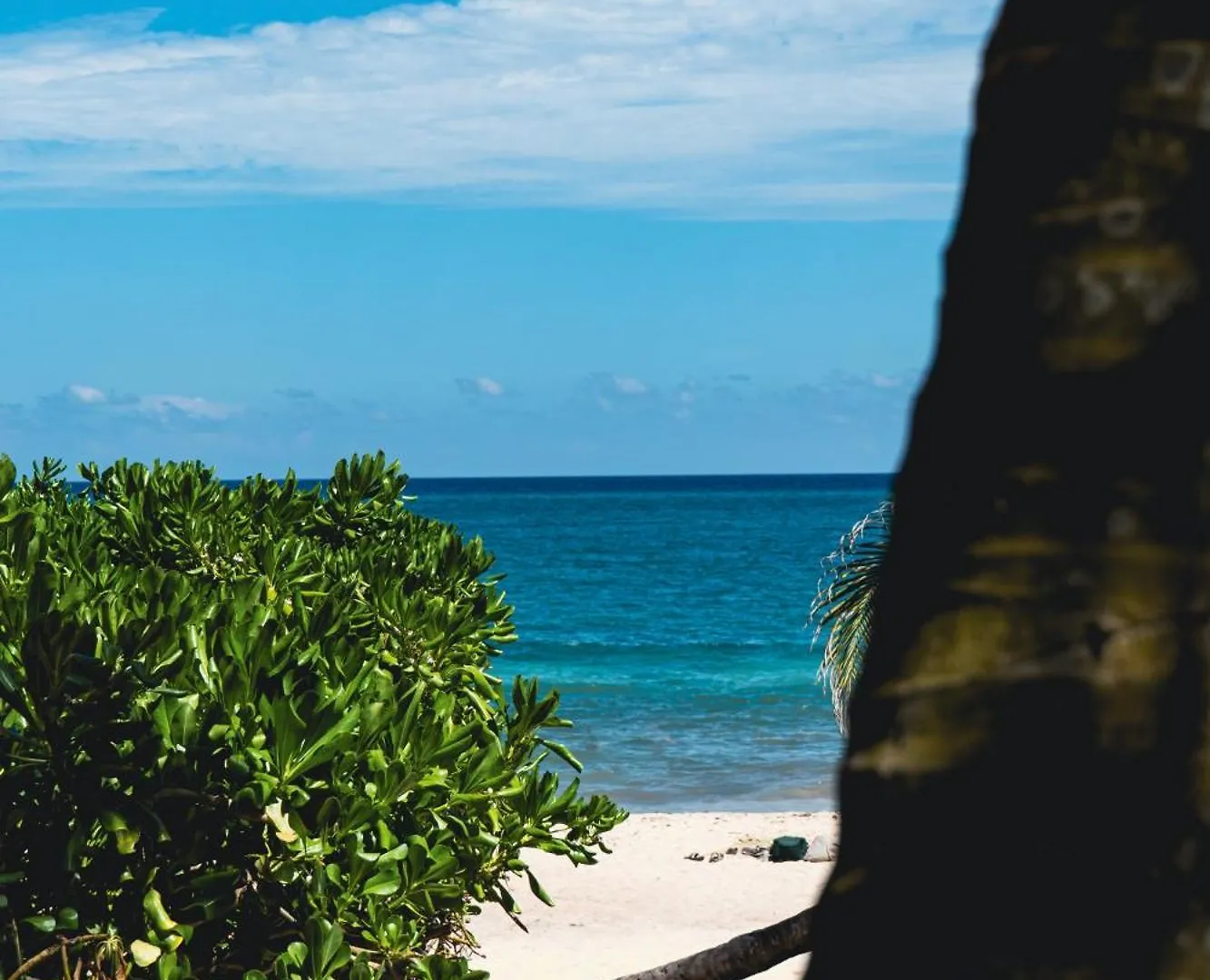 Tunich Jungle Cabanas Tulum Meksyk